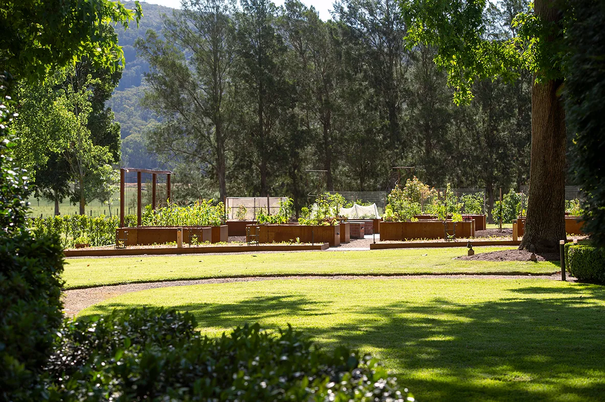 049 Eyton On Yarra Semken Garden Day Shots 20241212