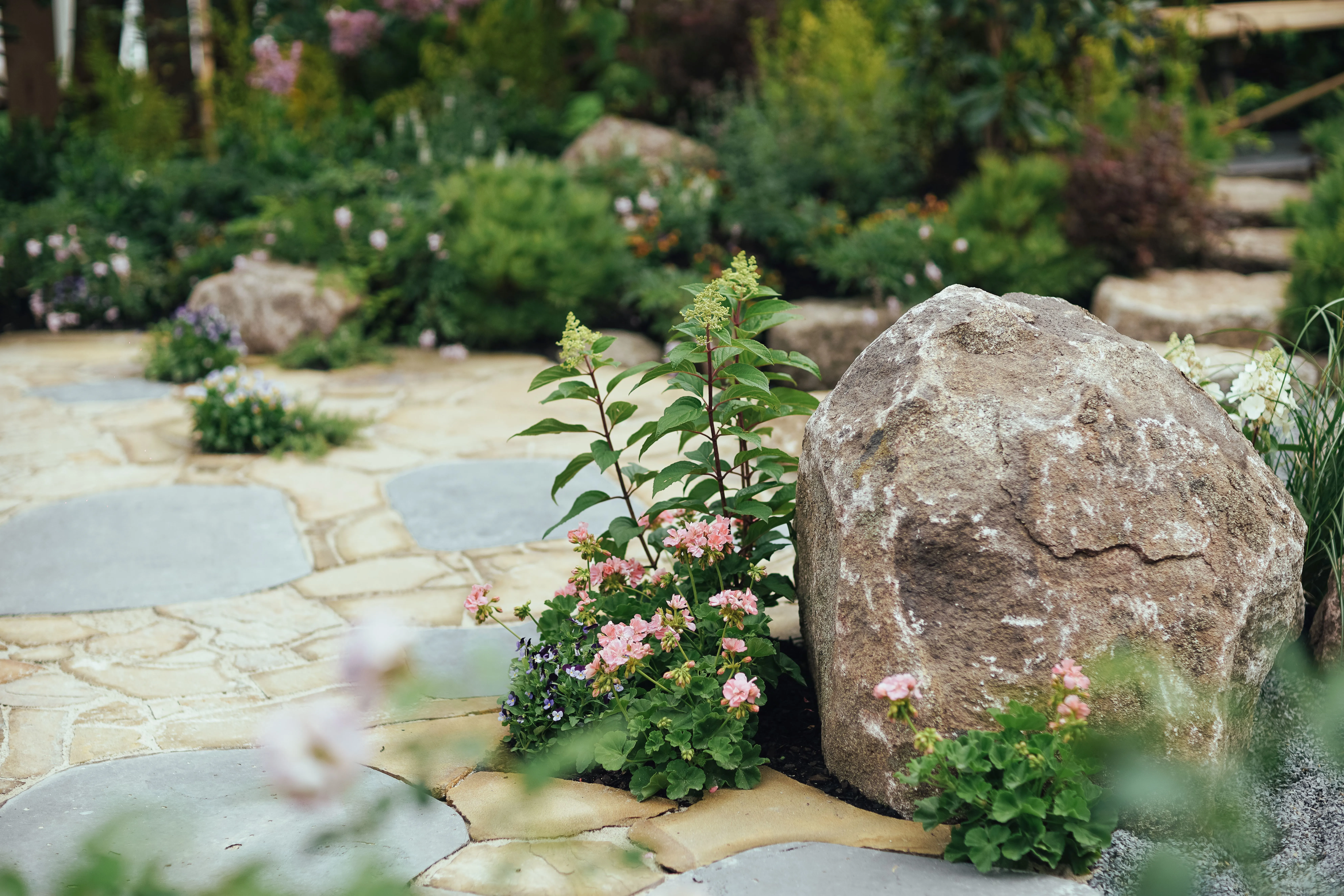 GS24 Japanese Garden 20