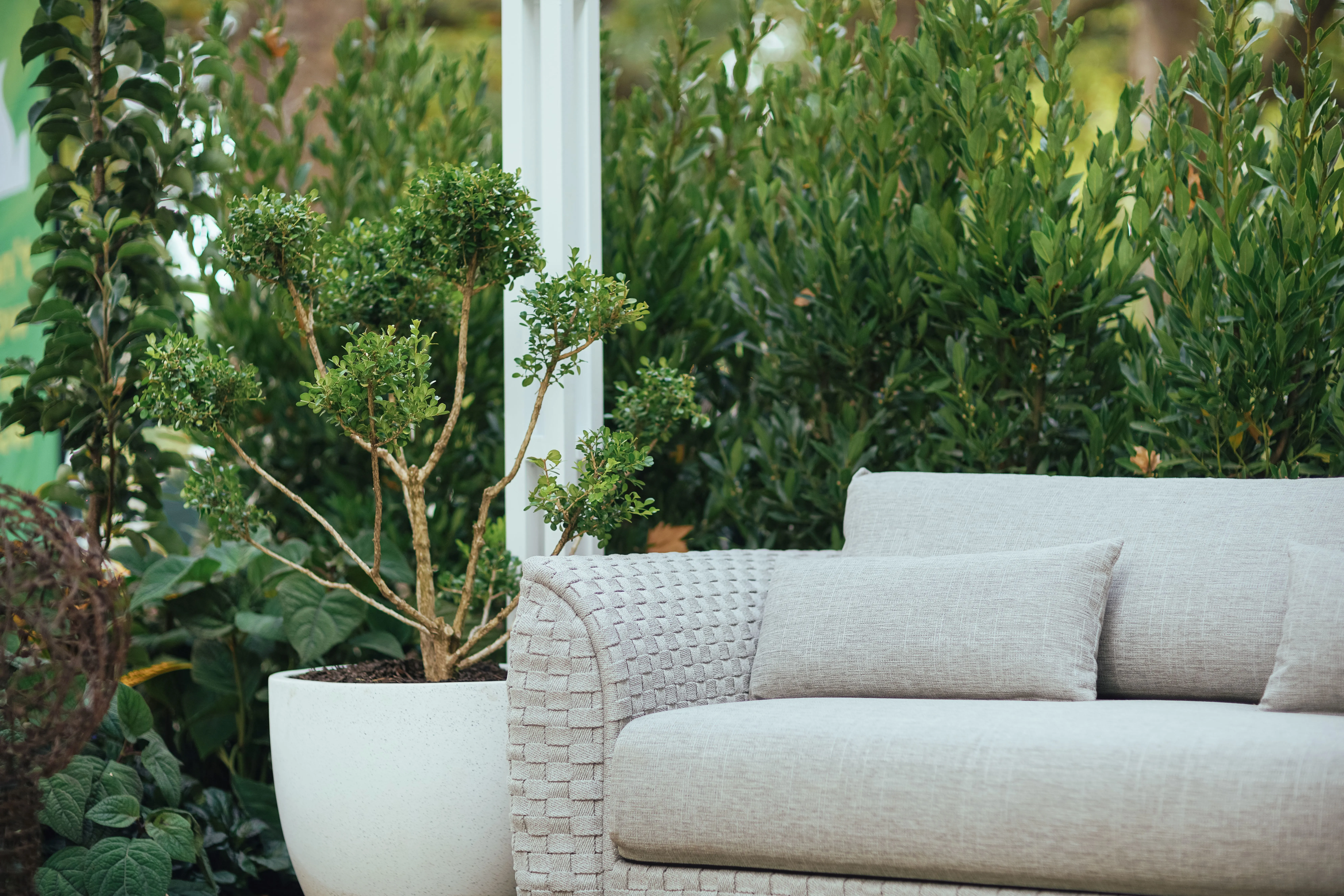 GS24 Welcome Garden 23