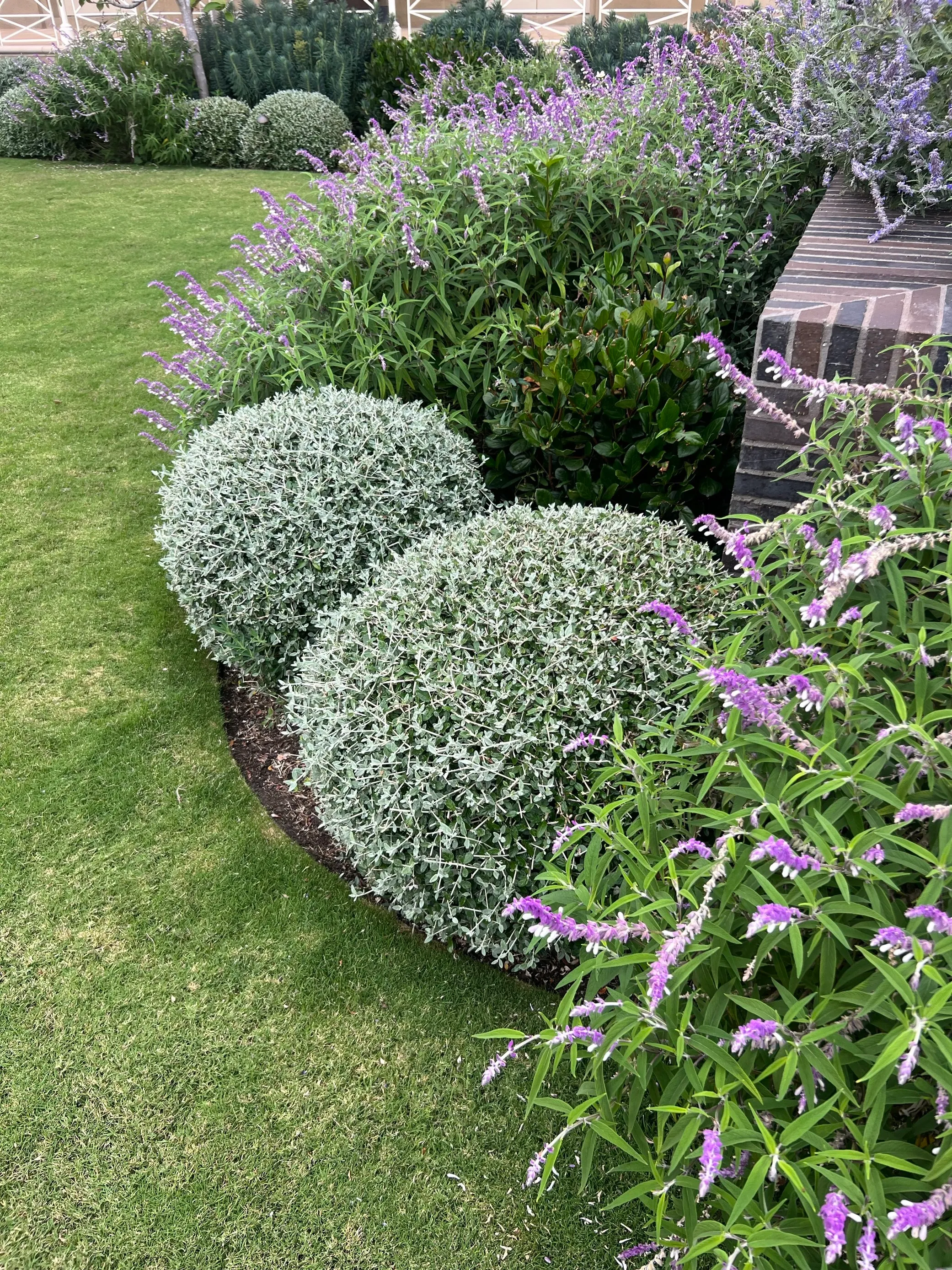 Image 13 1