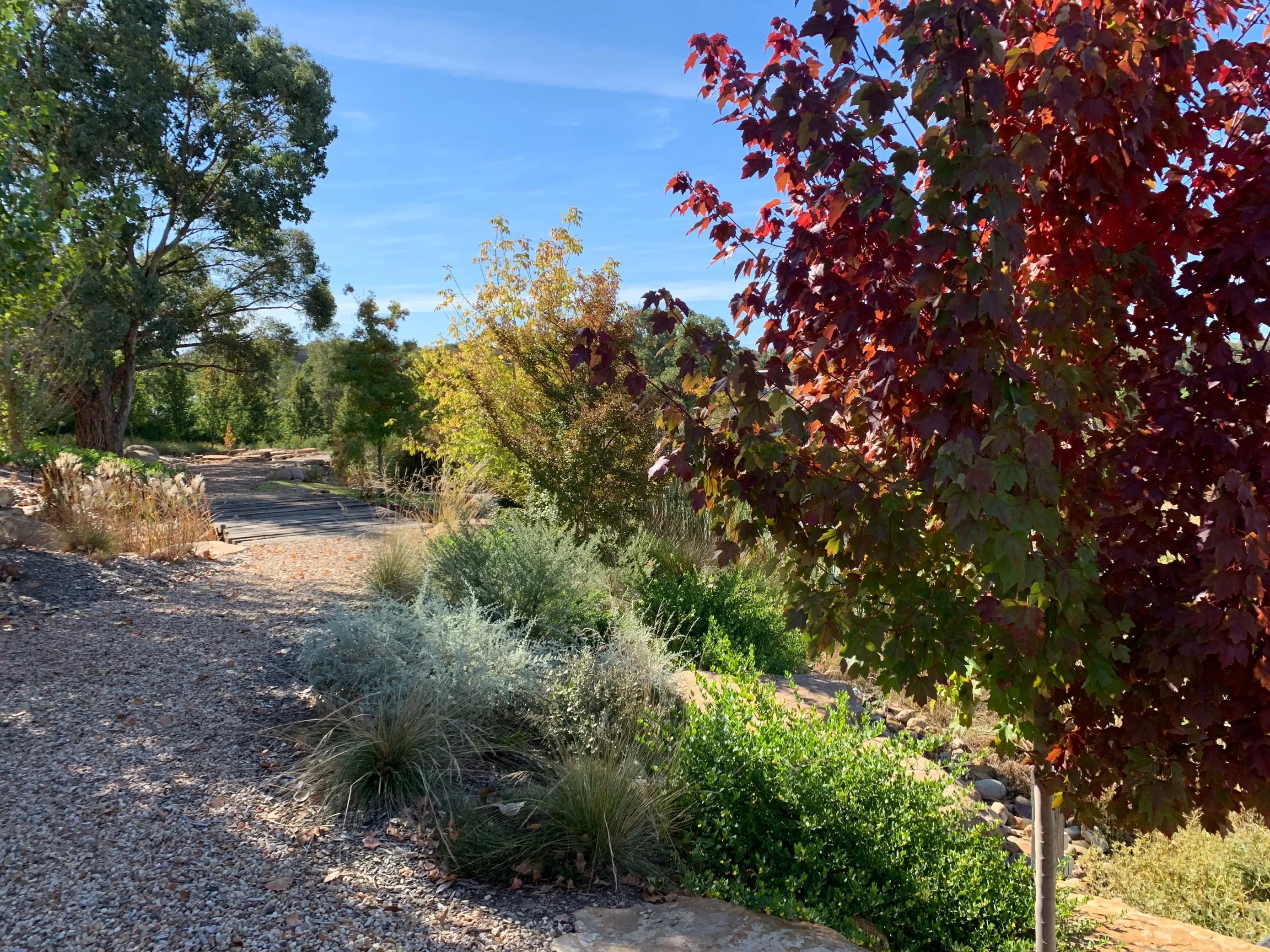 Autumn Garden