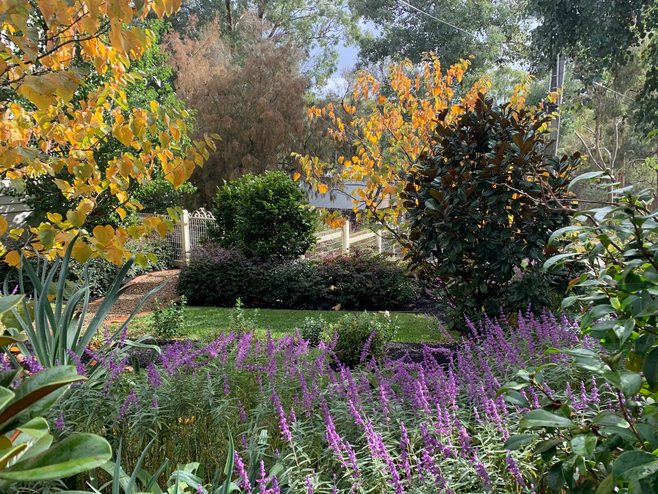 Autumn Garden