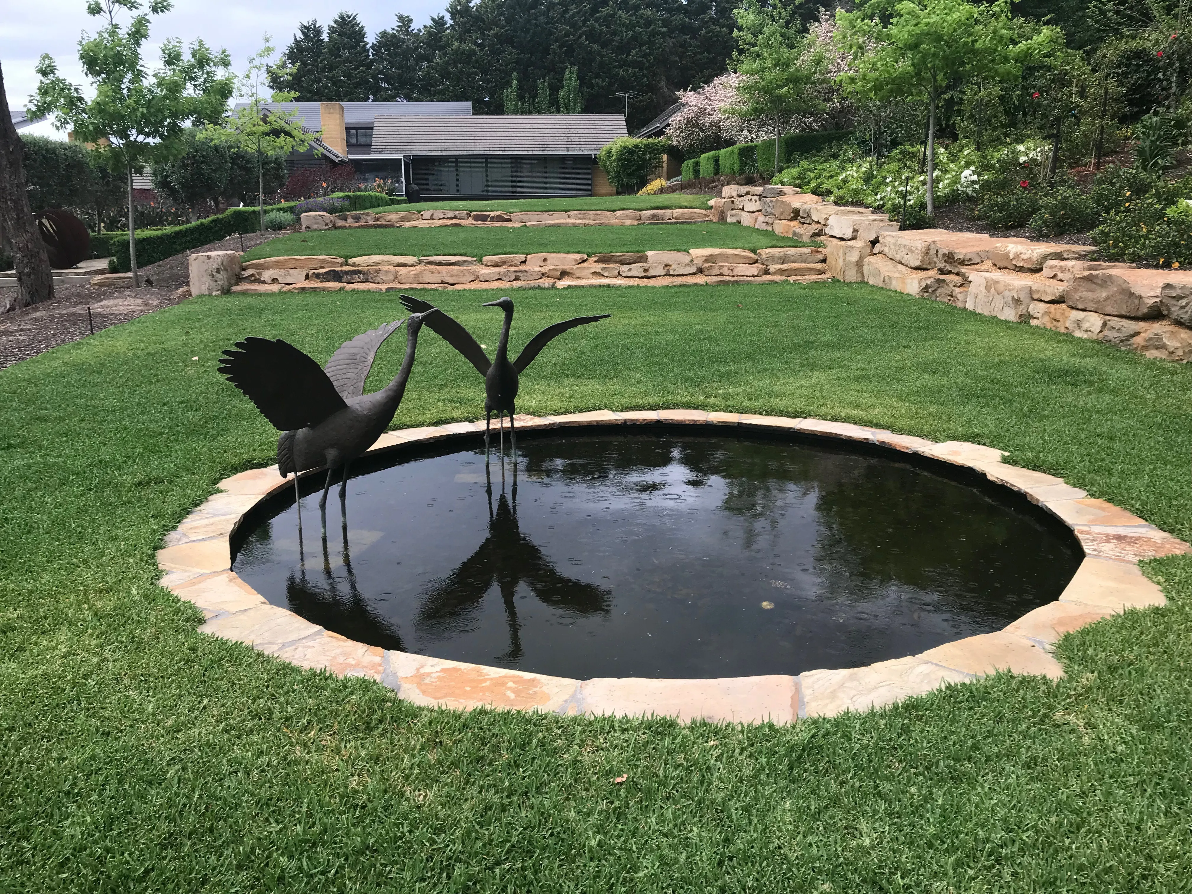 Birds By Pond