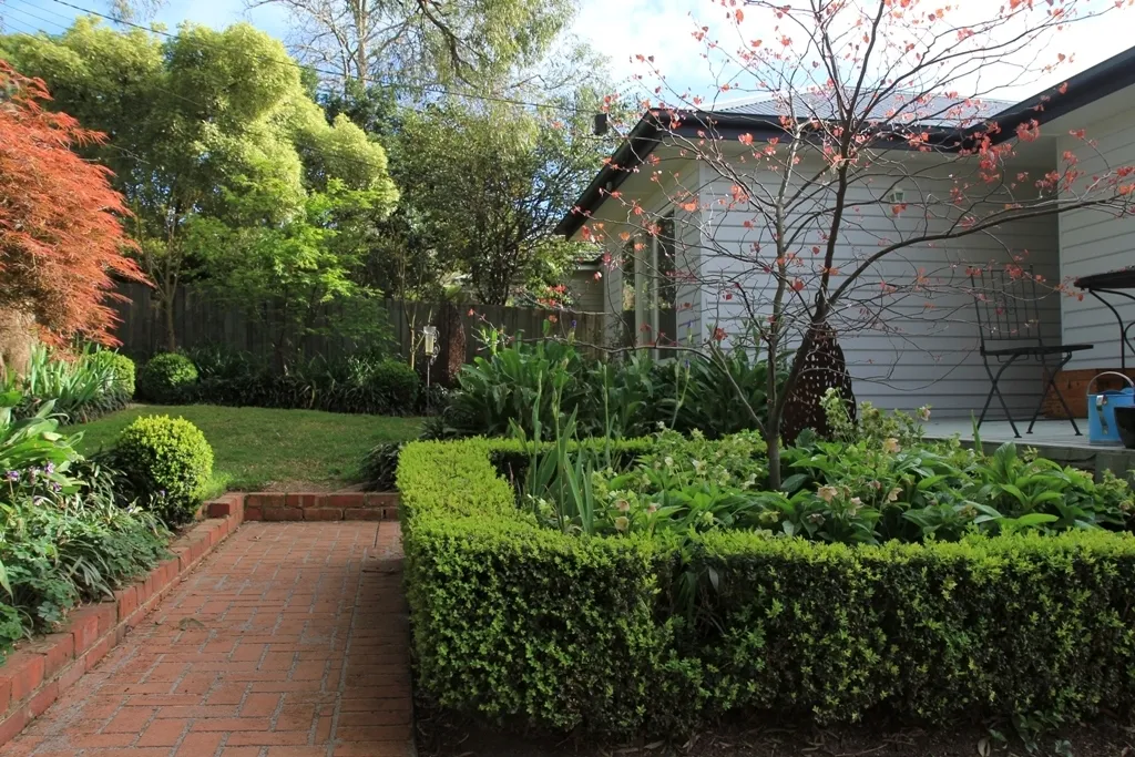 Box Hedge 1658