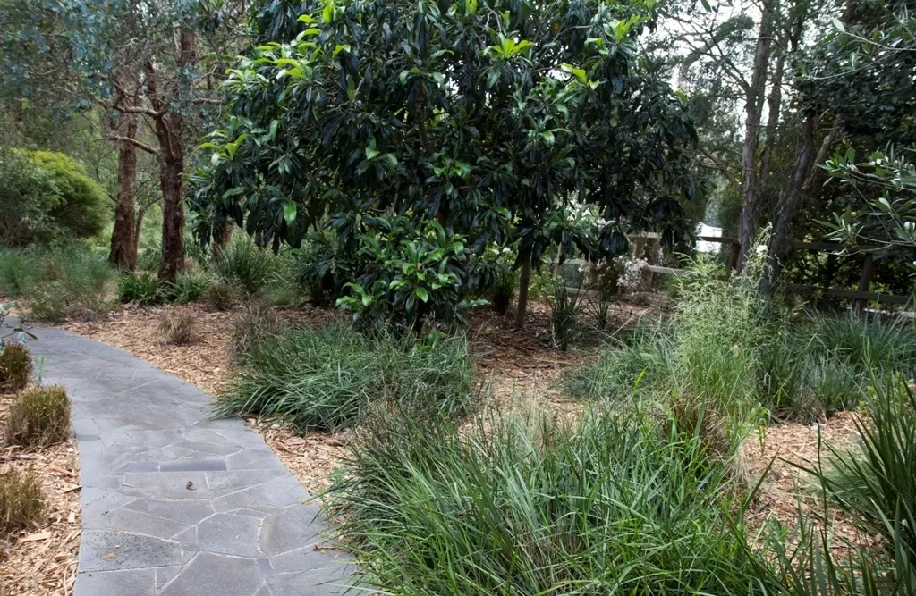 Bush Garden 1708