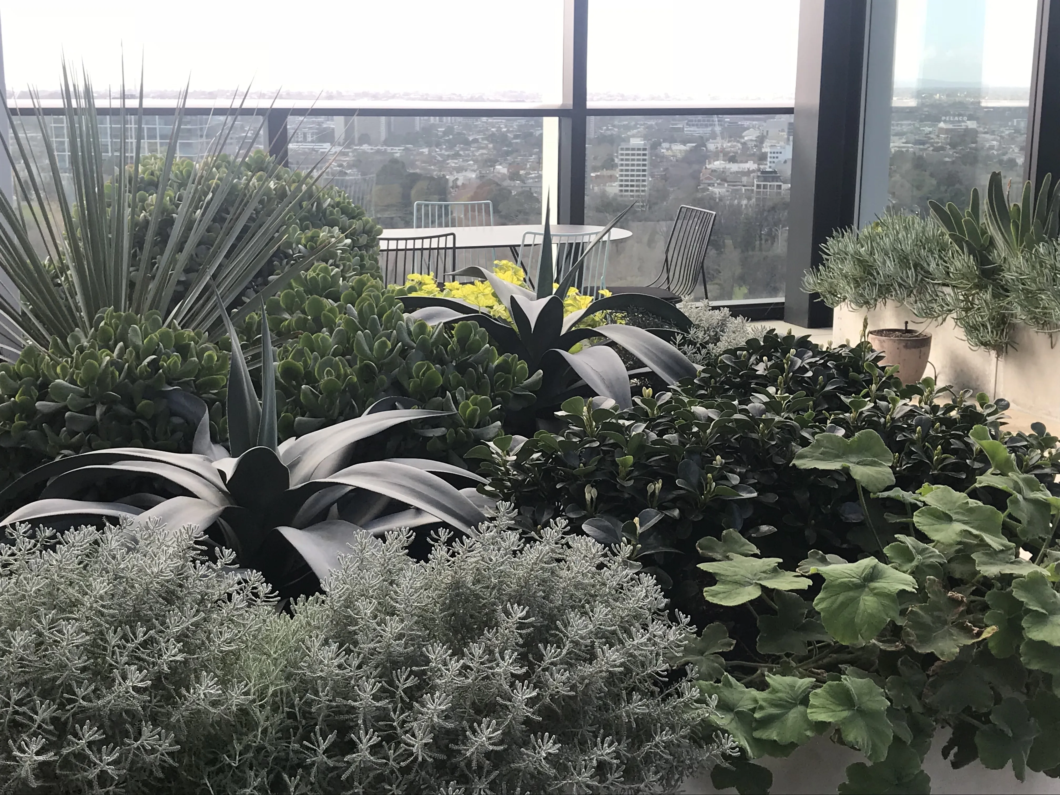 City Garden