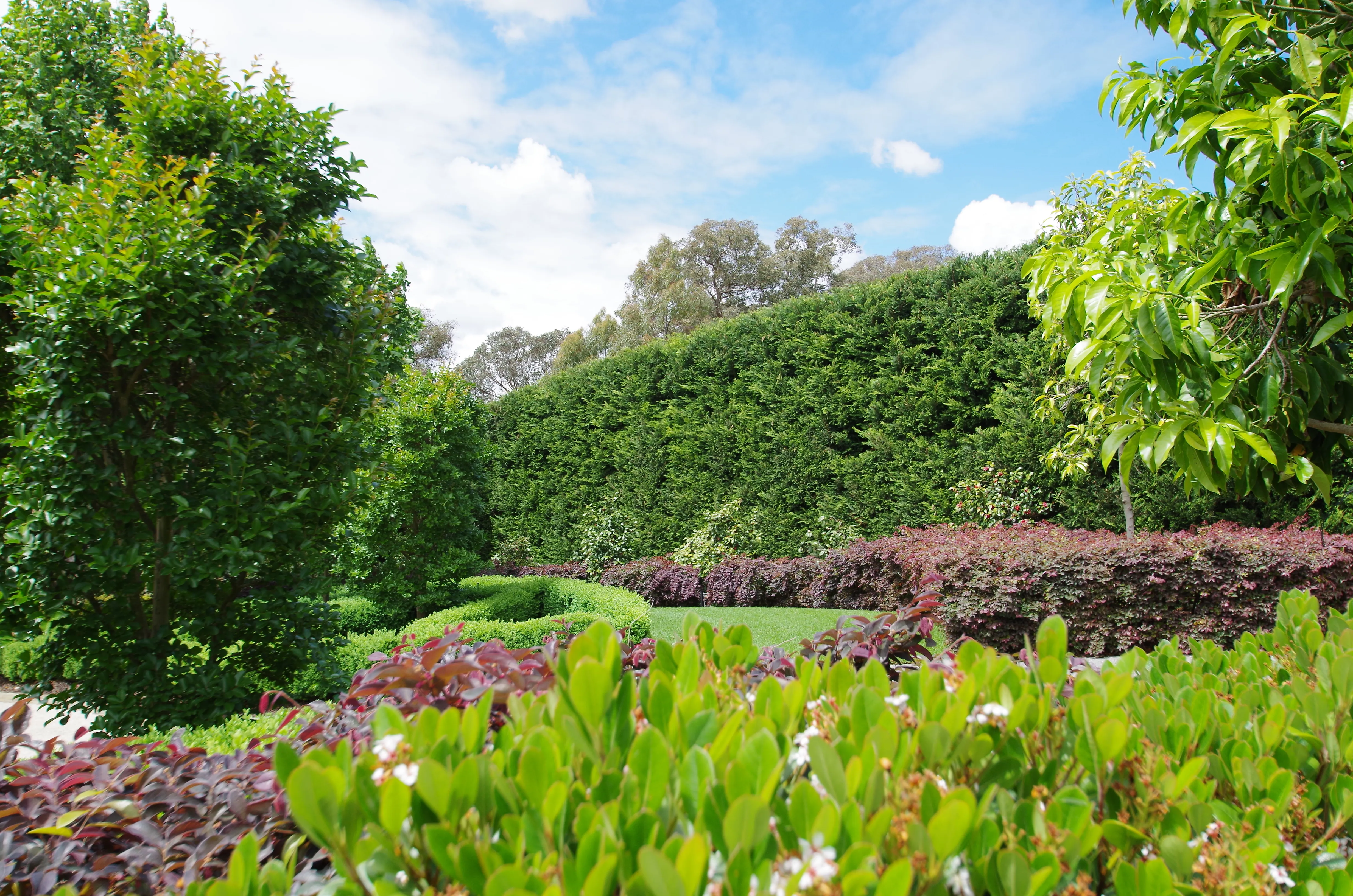 Clipped And Hedged