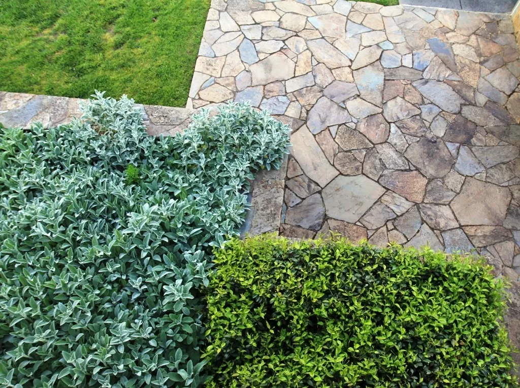 Crazy Paving 1802