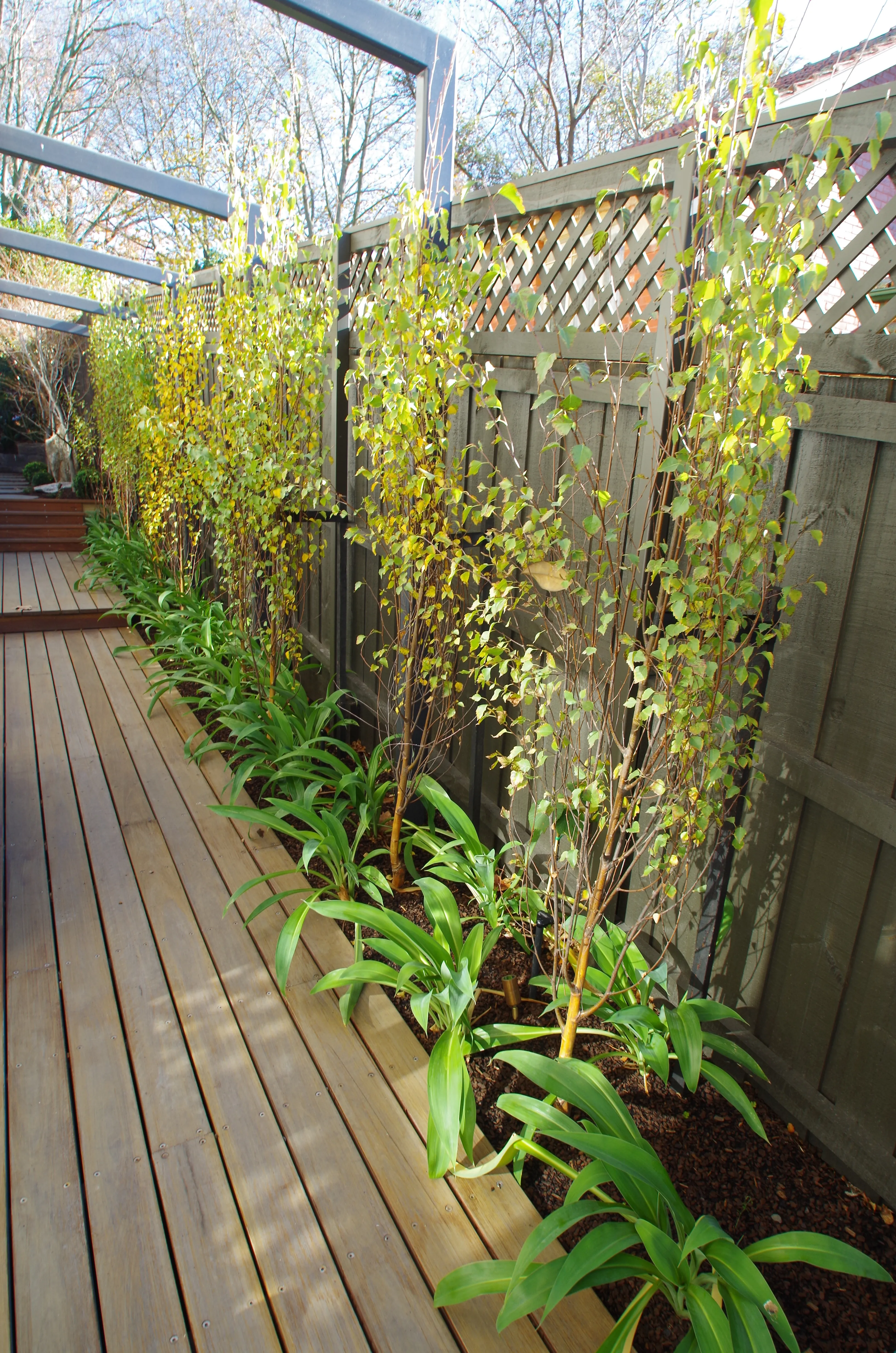 Deck Fence