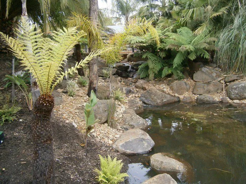 Fernery 1520