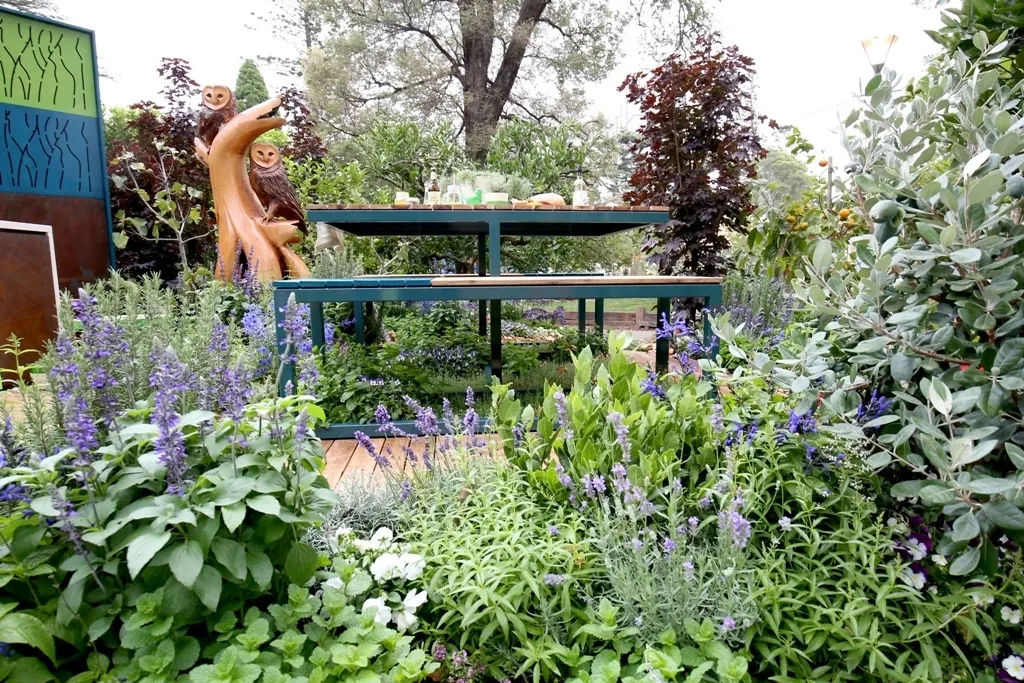 Food Forest Table 1638