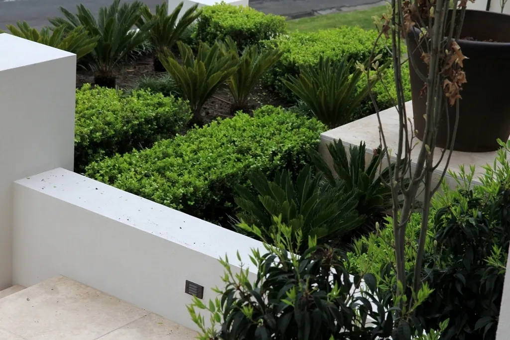 Front Hedge 1728