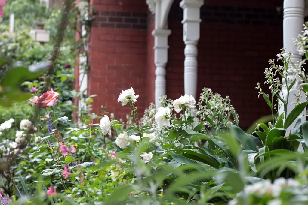 Garden Bed 1777