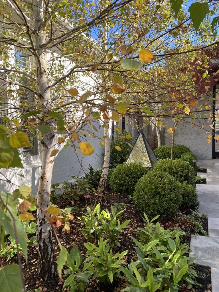 Garden Bed