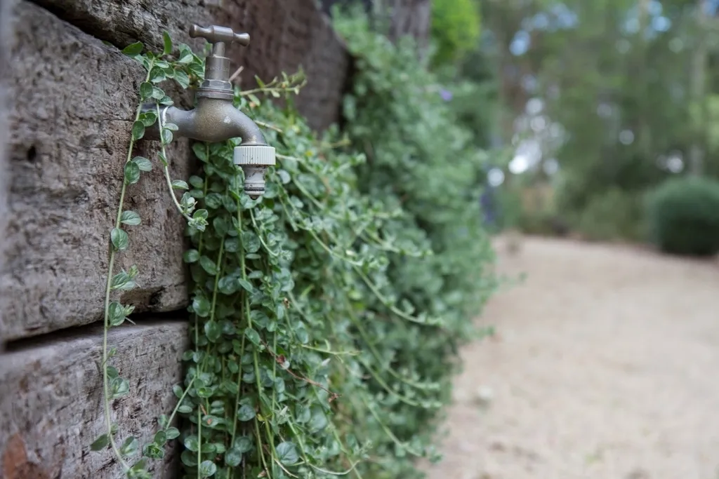 Garden Tap 1711