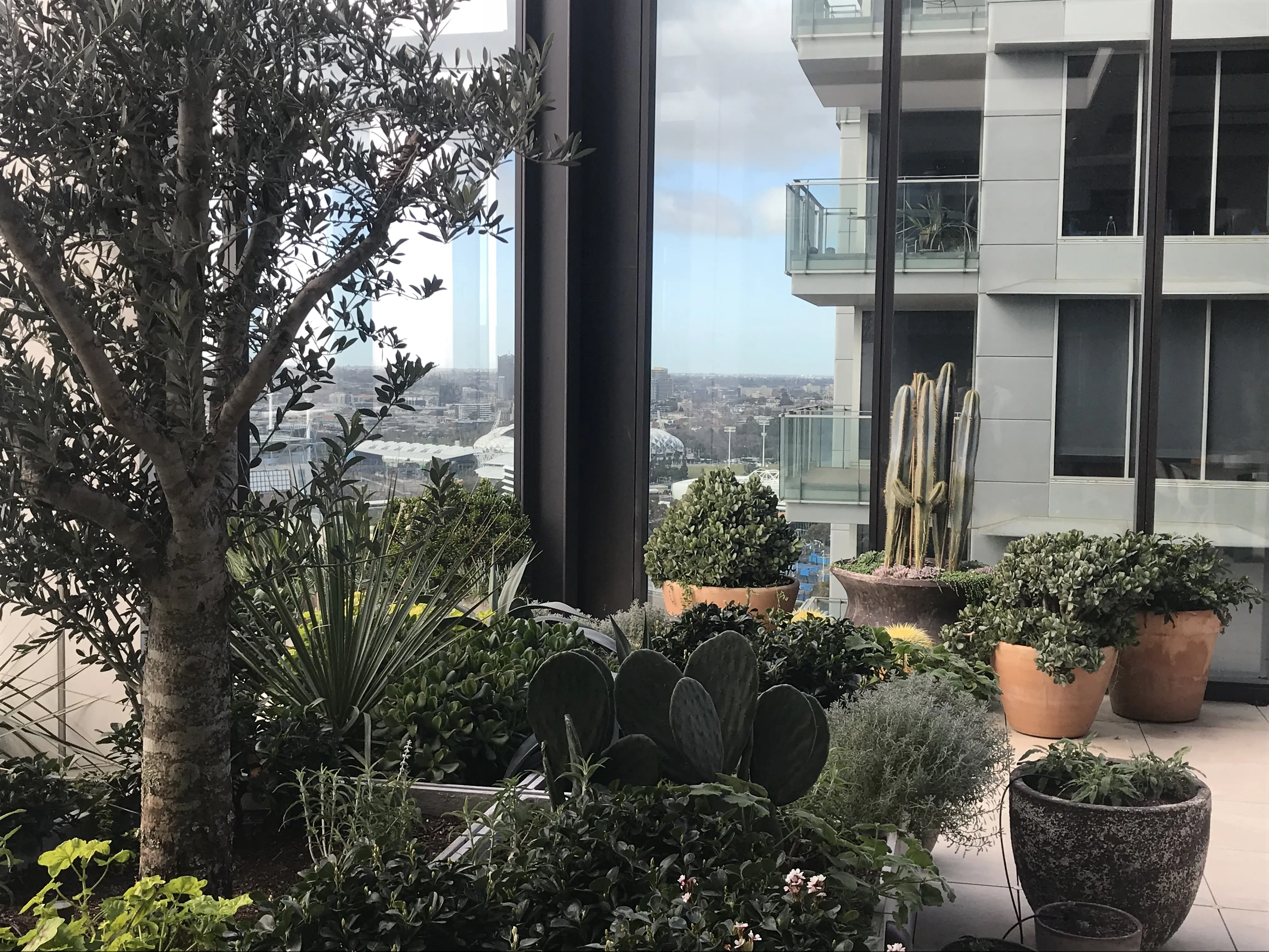 Garden View