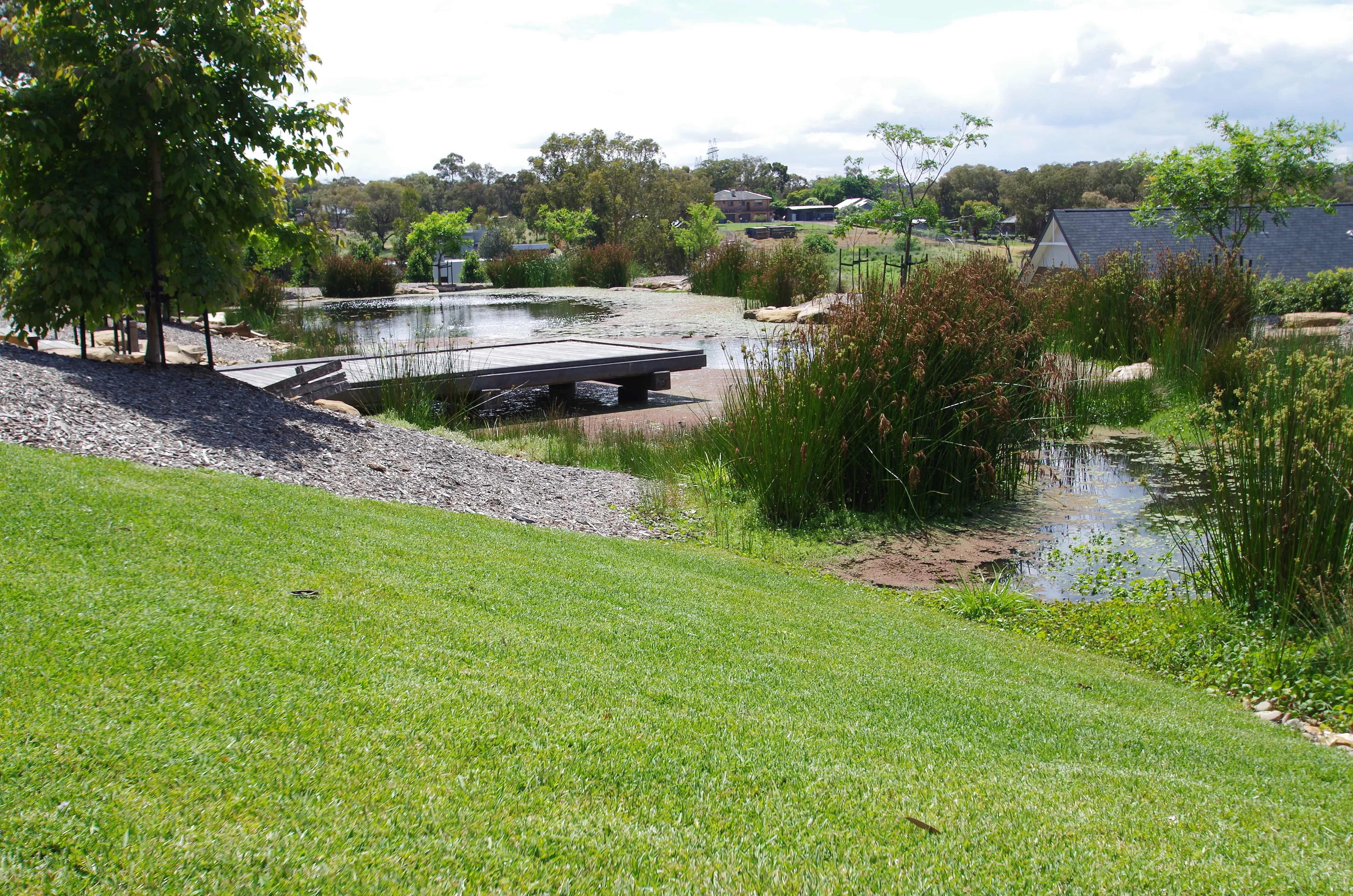 Grass By The Lake