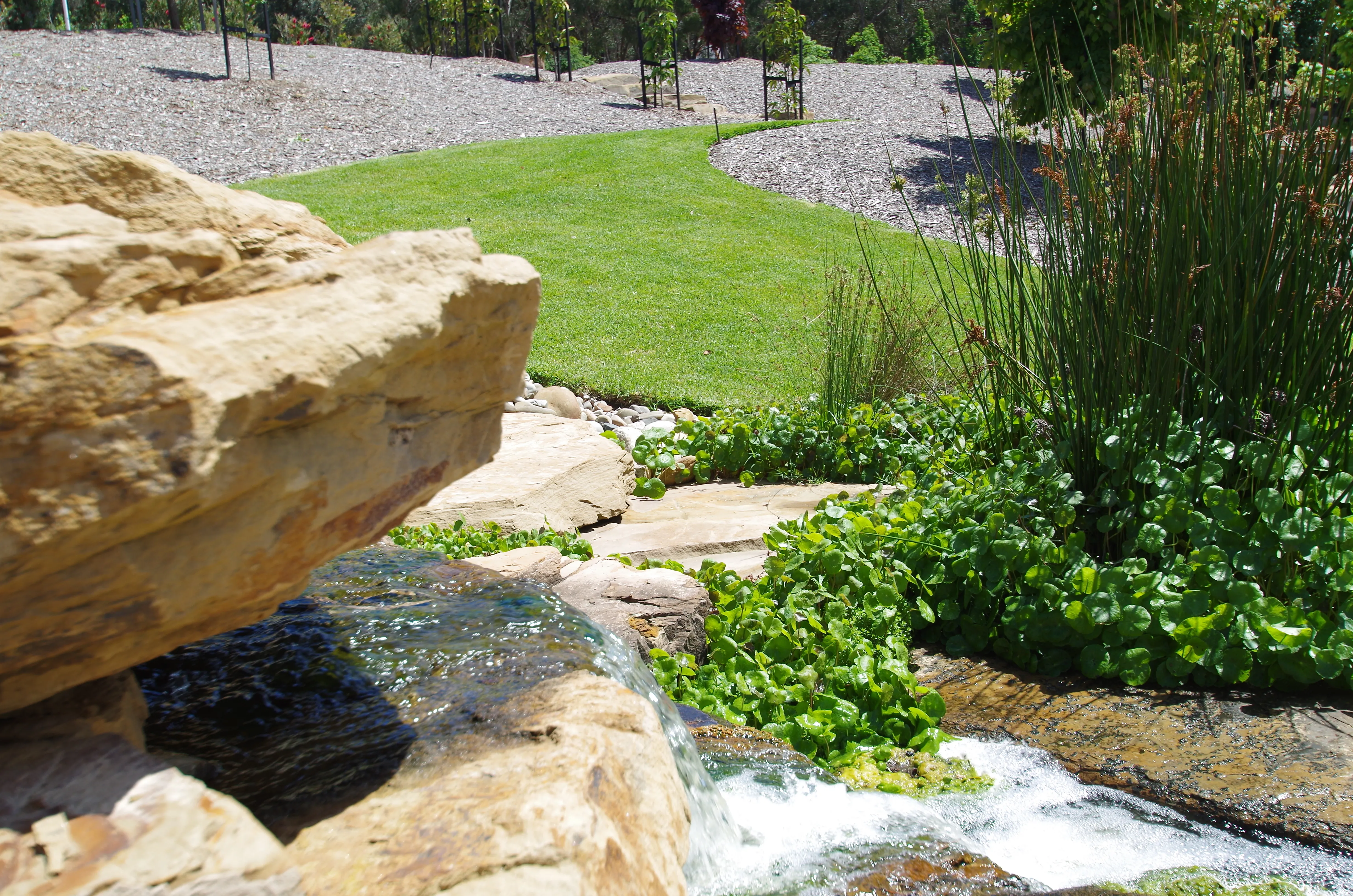 Grass By The Waterfall