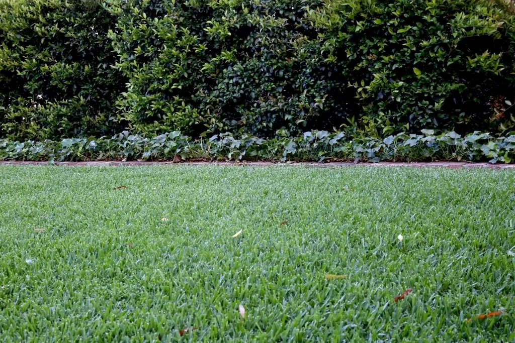 Green Lawn 1842