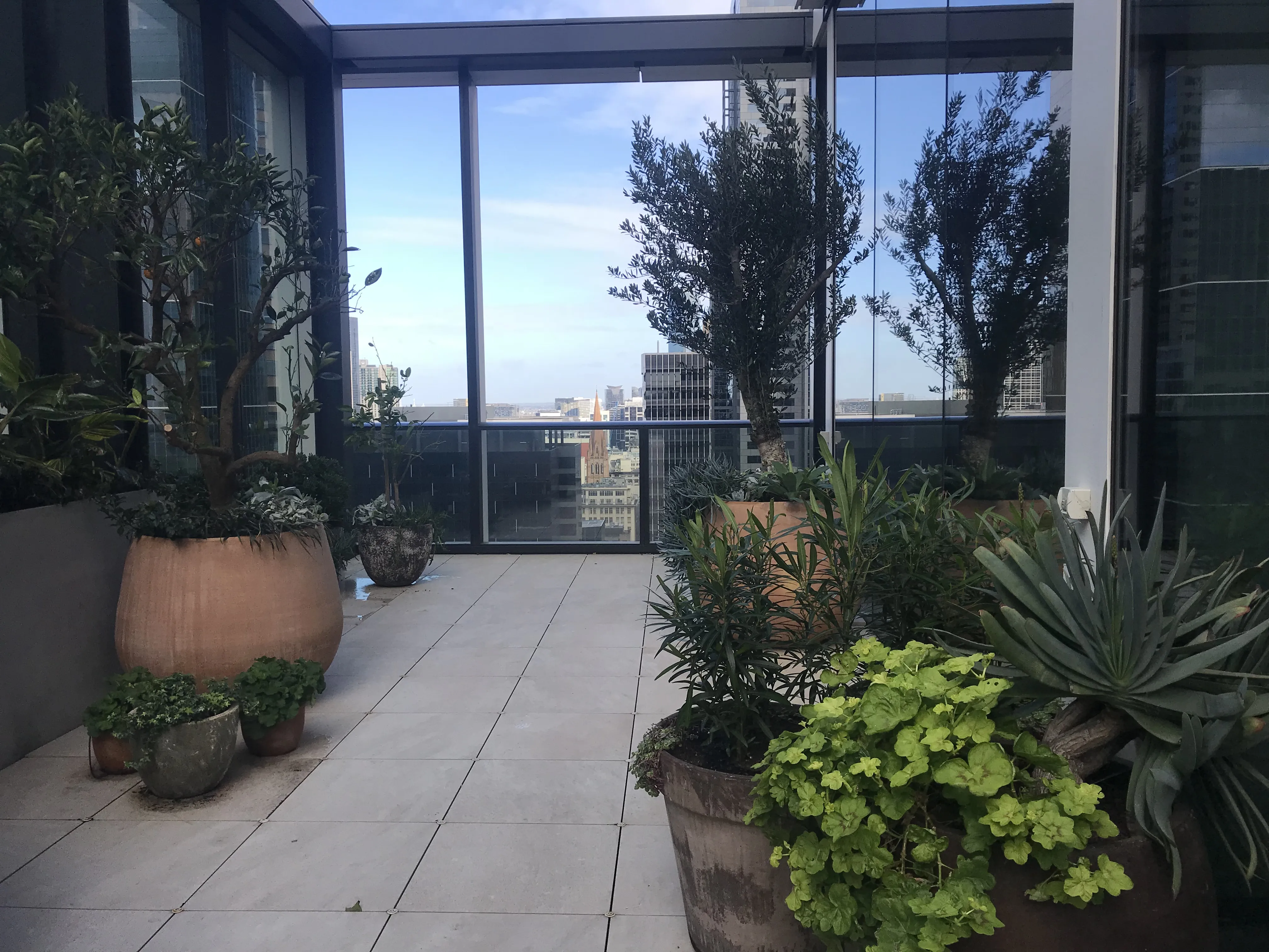Inner City Garden
