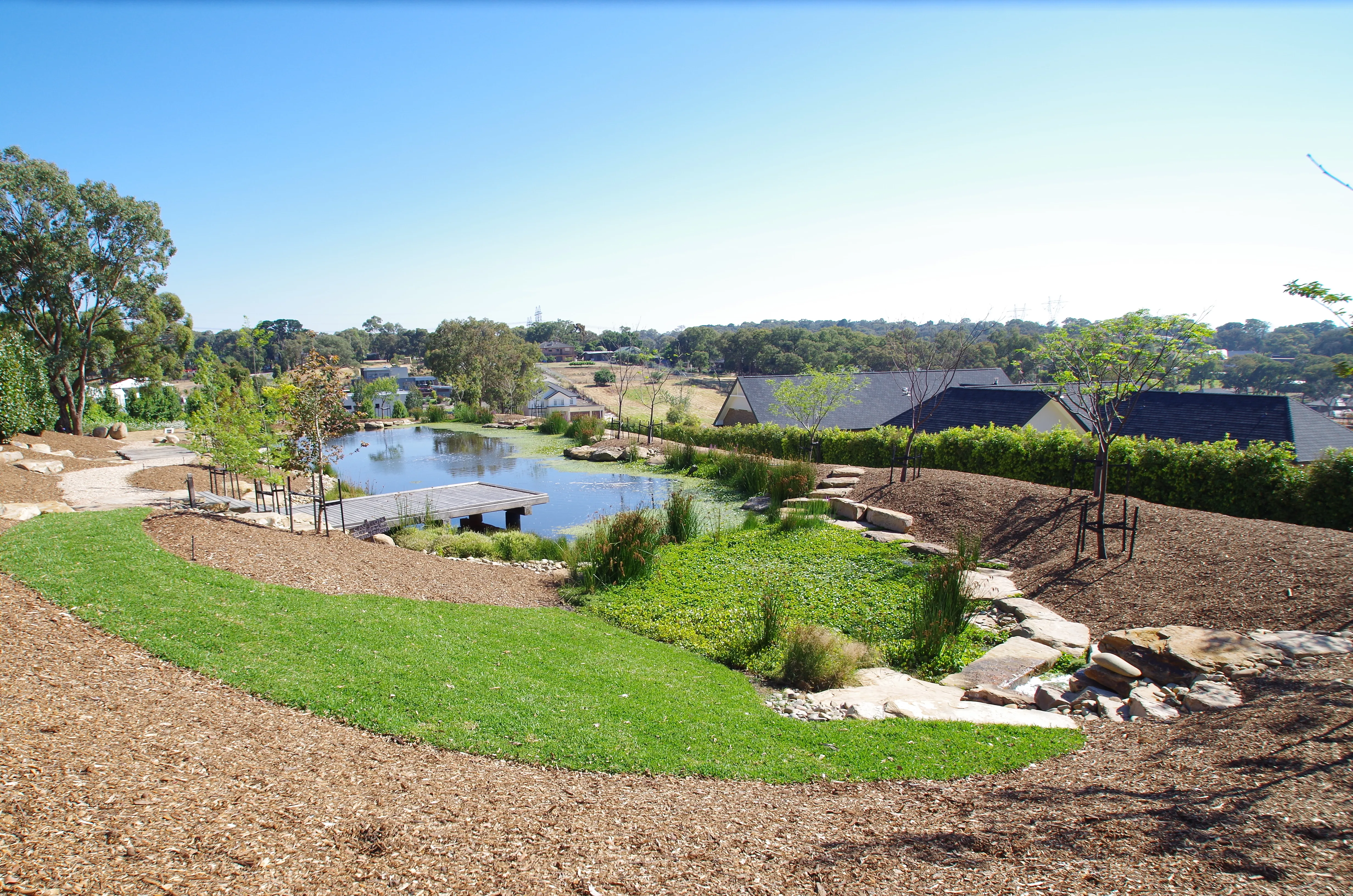 Lake Ecosystem