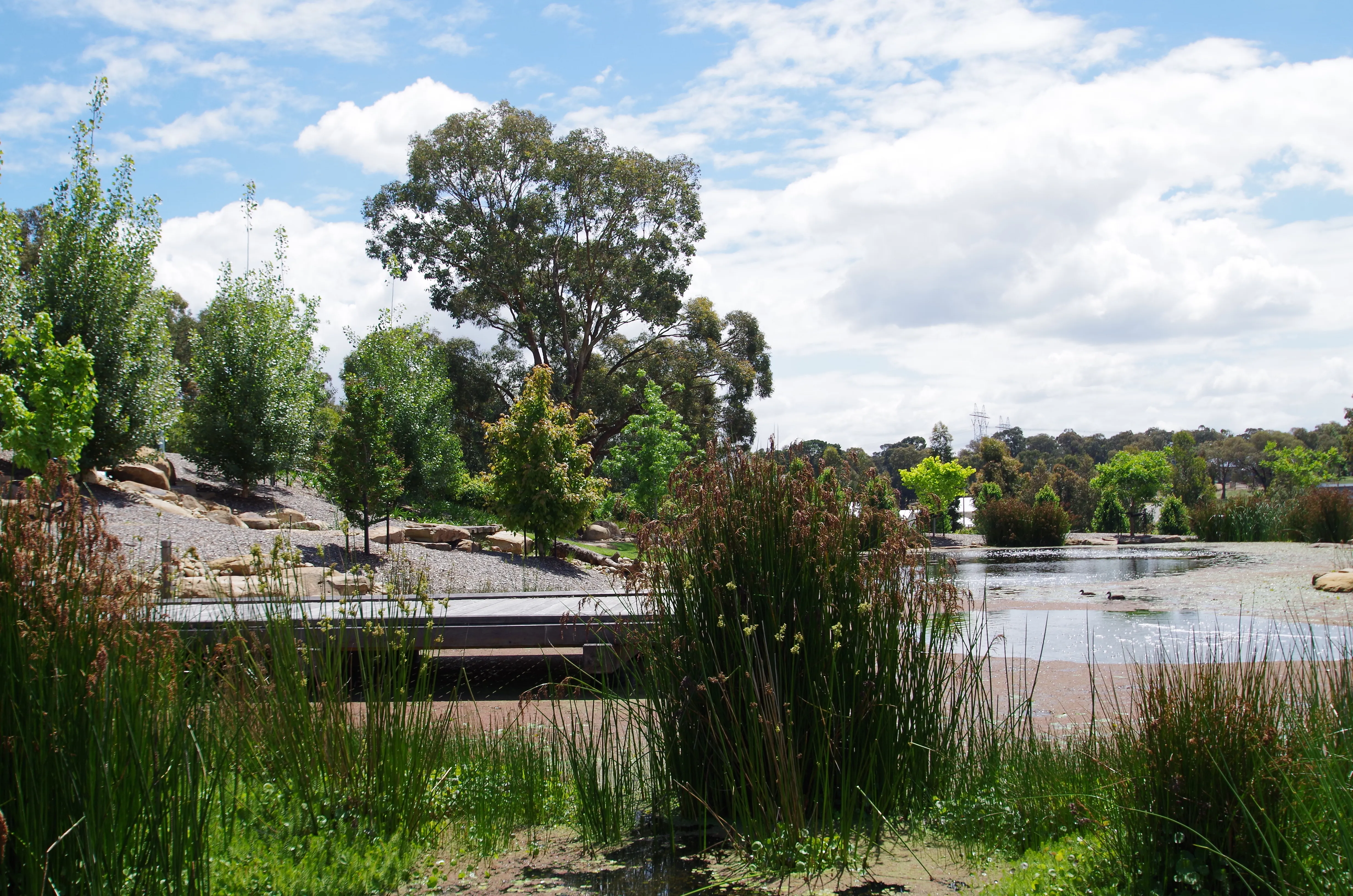 Lakeside