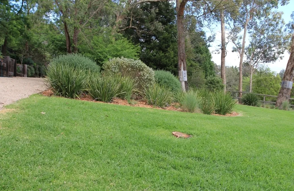 Large Lawn Area 1714