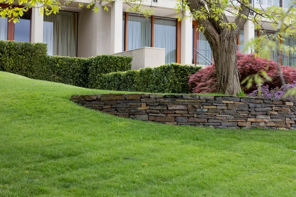 Lawn 1679
