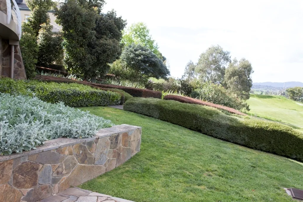 Lawn 1807