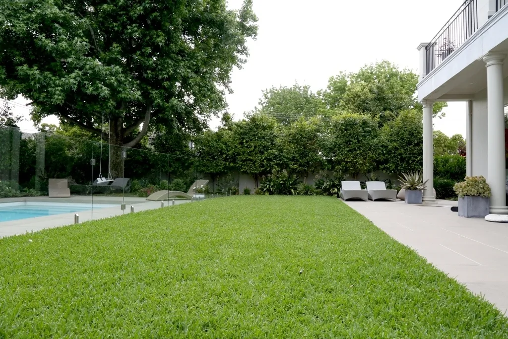 Lawn 1816