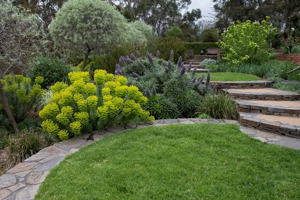 Lawn Garden 1680