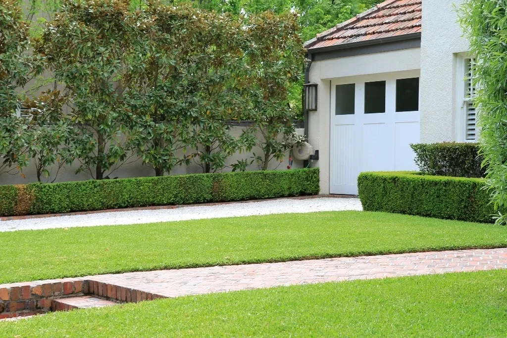 Lawn Hedge 1791