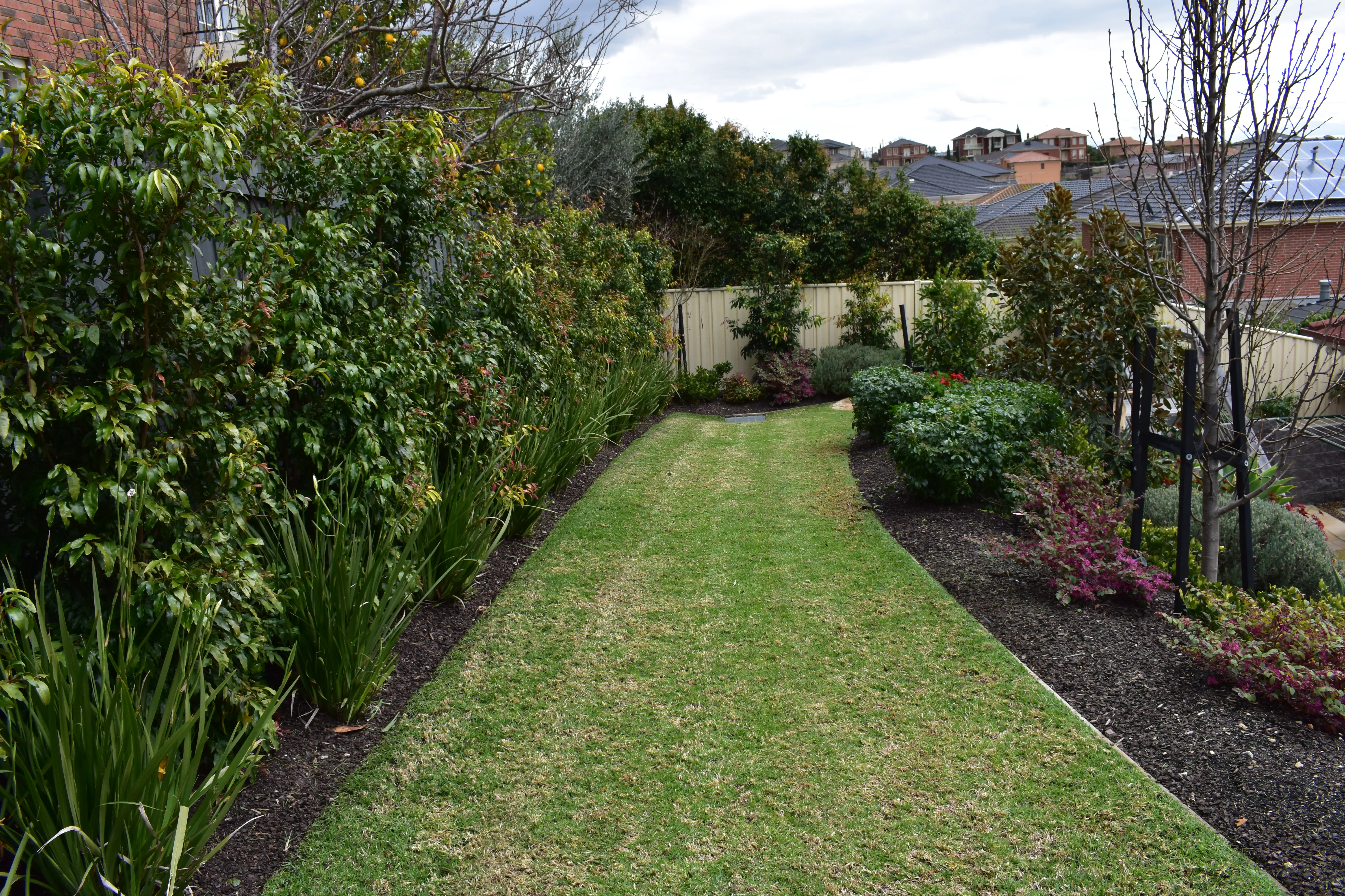Lawn