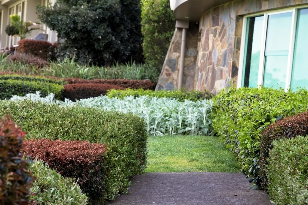 Mixed Hedge 1808