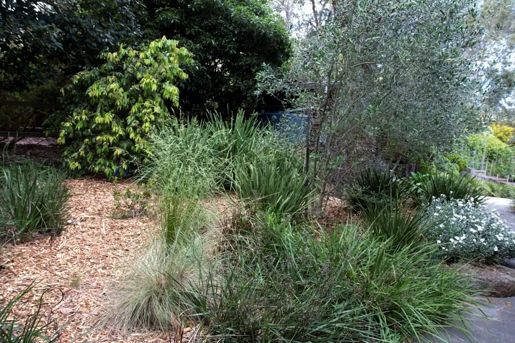 Mixed Planting 1716