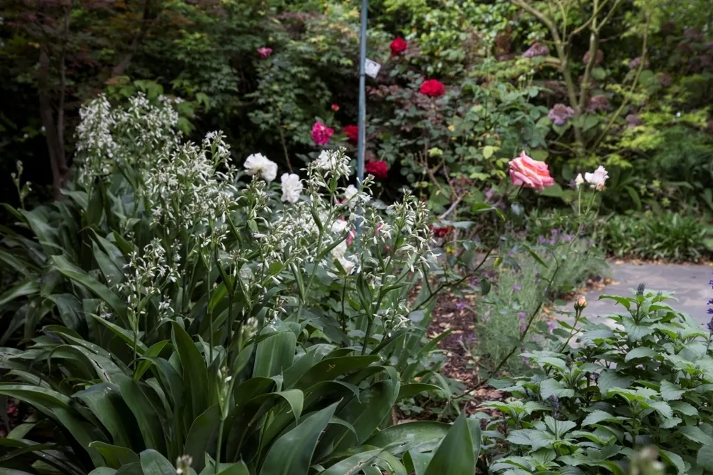 Mixed Planting 1782