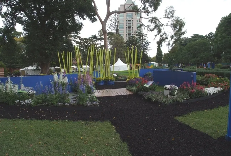 Oasis201205 1379