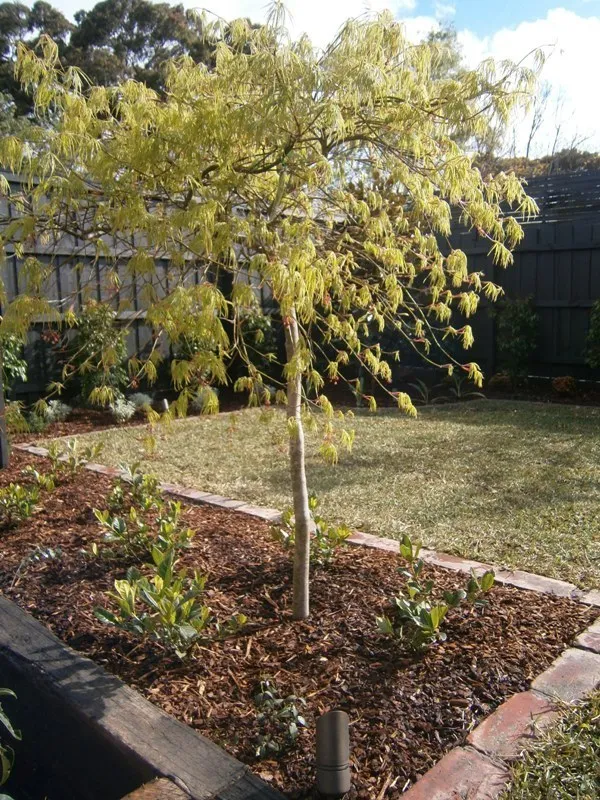 P9240046 1333