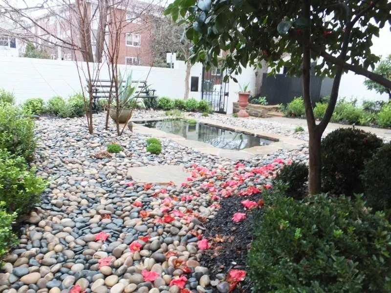 Pebbles And Pond 1464