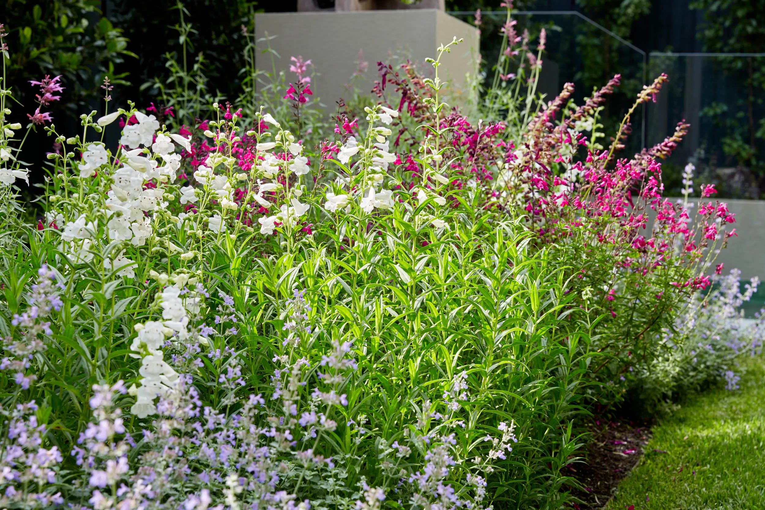 Perennials