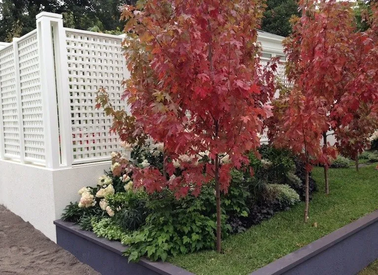 Photo 2 1542