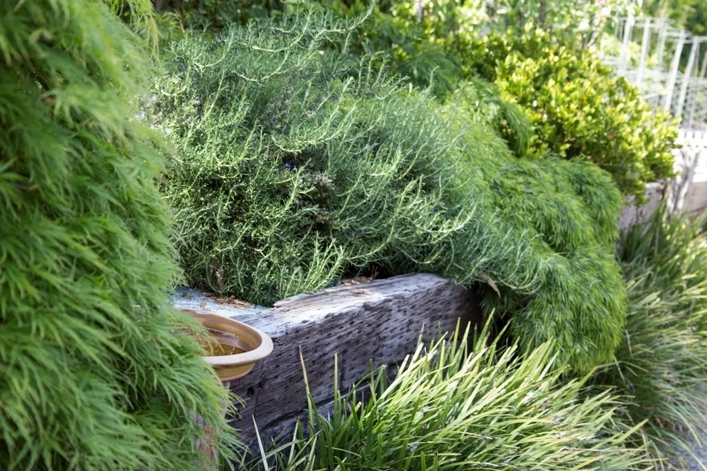Plants Retaining Wall 1719