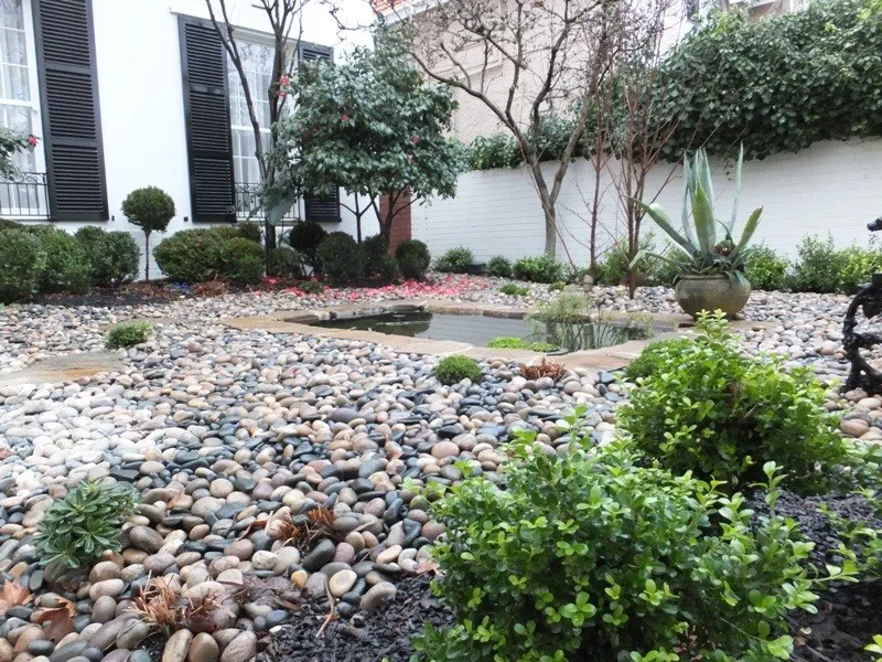 Pond 1466