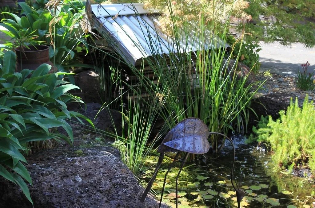 Pond 1720
