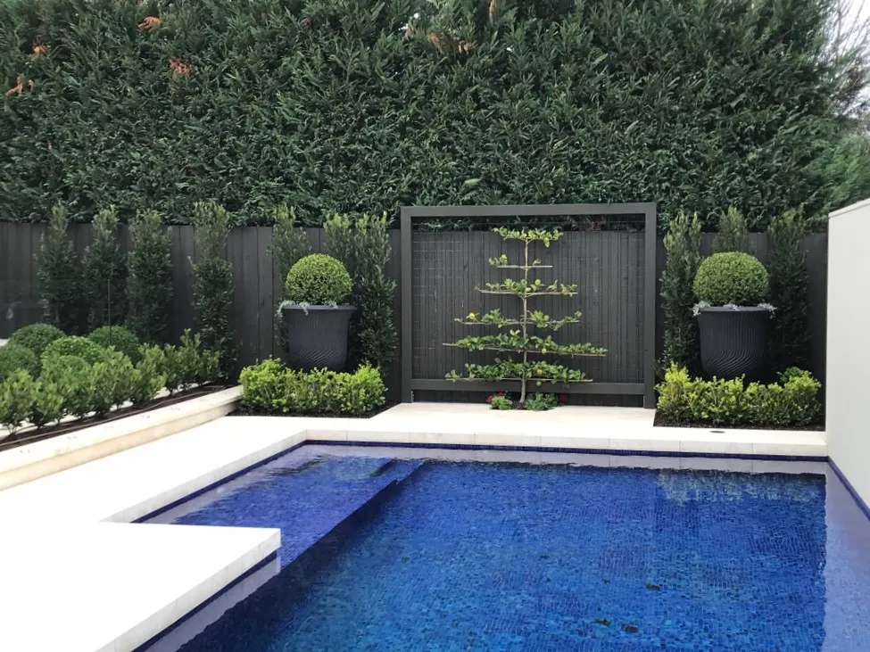 Poolside Espalier
