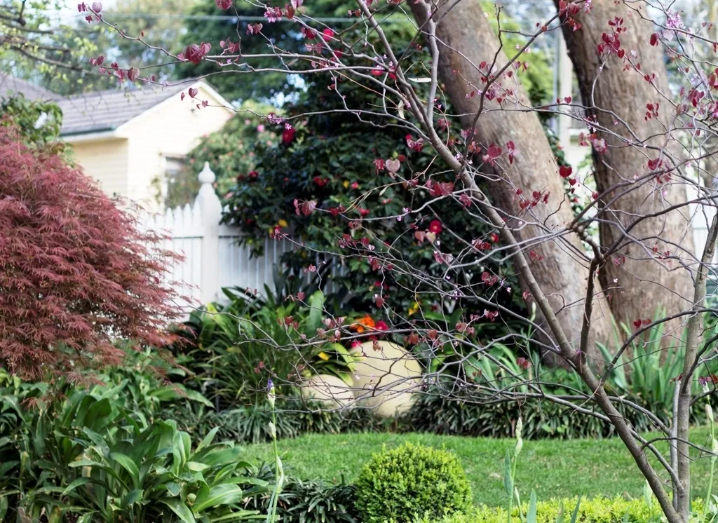 Pretty Garden 1669