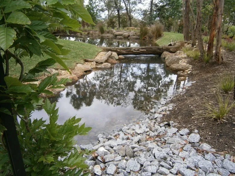 Rock Border 1527