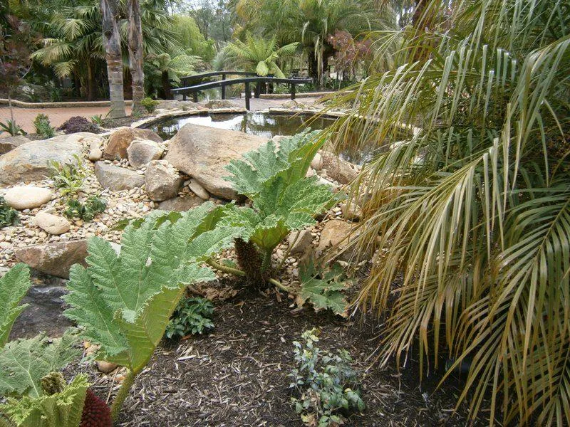 Rockery 1528