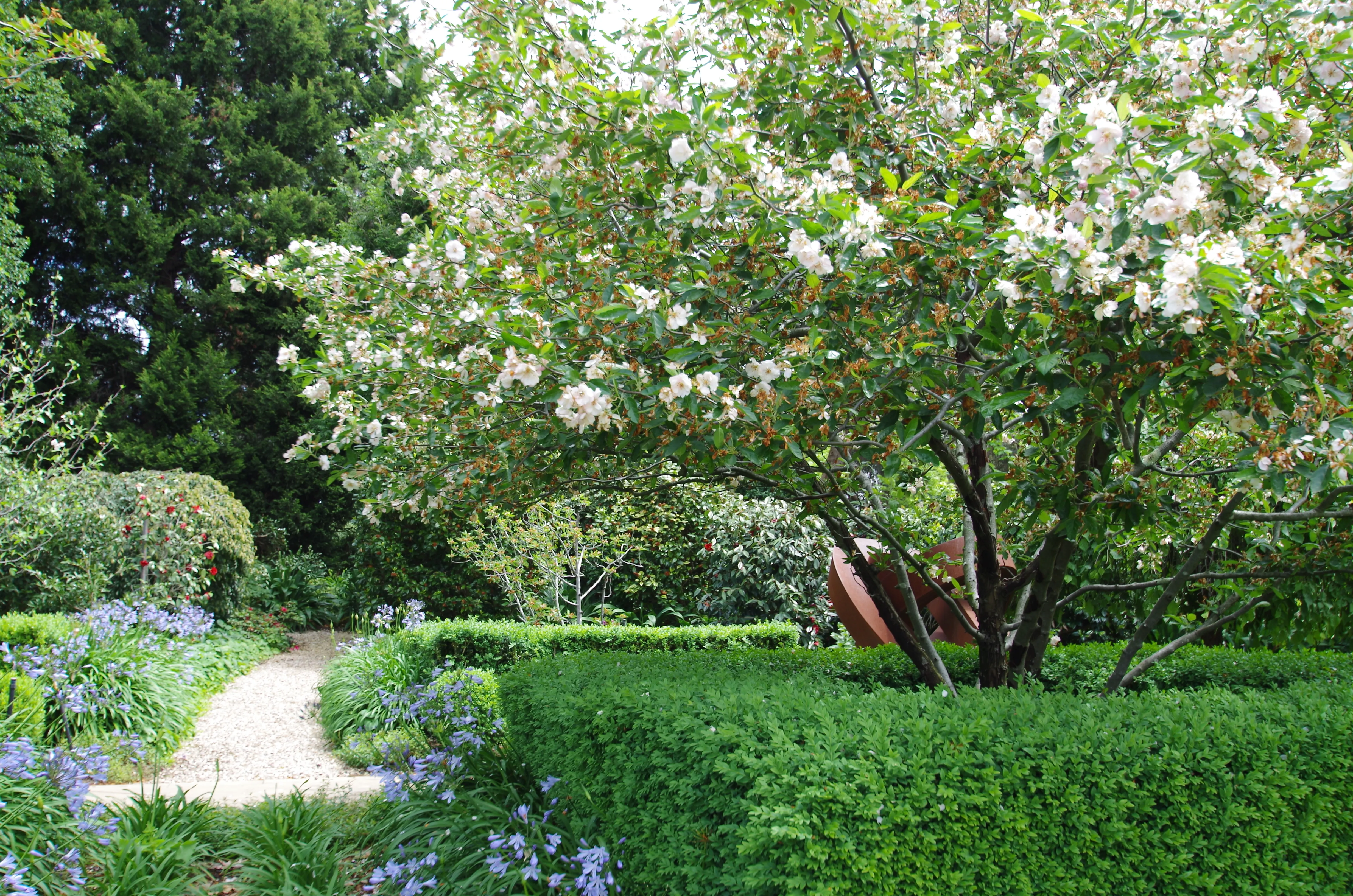 Spring Blossom