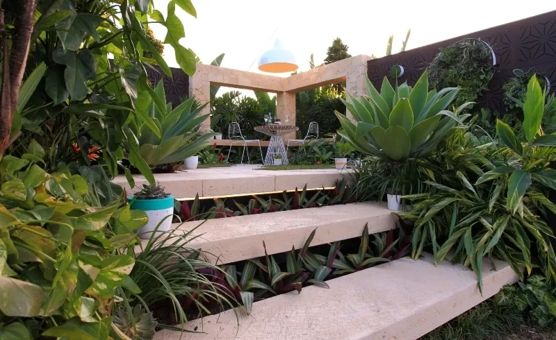 Steps Underplanted 1511